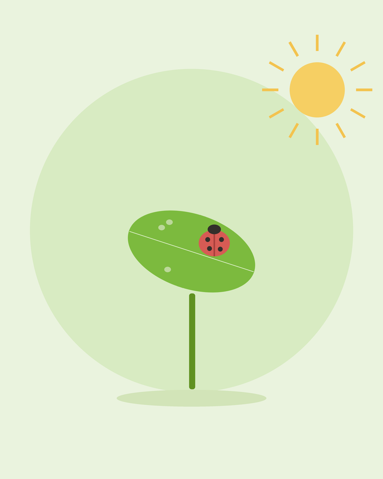 Platte illustratie van een lieveheersbeestje op een blad tussen bladluizen — bestrijding van veelvoorkomende tuinplagen, van SeedsChoice