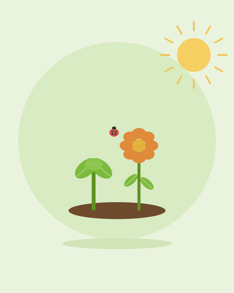 Platte illustratie van een groente en een bloem die naast elkaar groeien met een lieveheersbeestje — combinatiebeplanting, van SeedsChoice