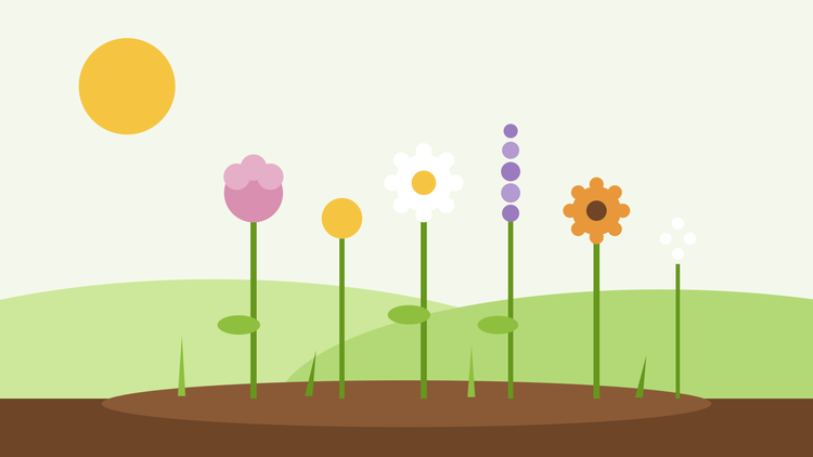 Snijbloemtuin uit zaad — platte illustratie van een rij kleurrijke snijbloemen in een tuinbed