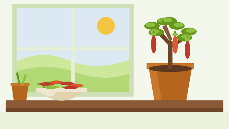 Hoe overwinter je chiliplanten — platte illustratie van een gesnoeid ingepotte chiliplant op een vensterbank naast een schaal geoogste rode pepers