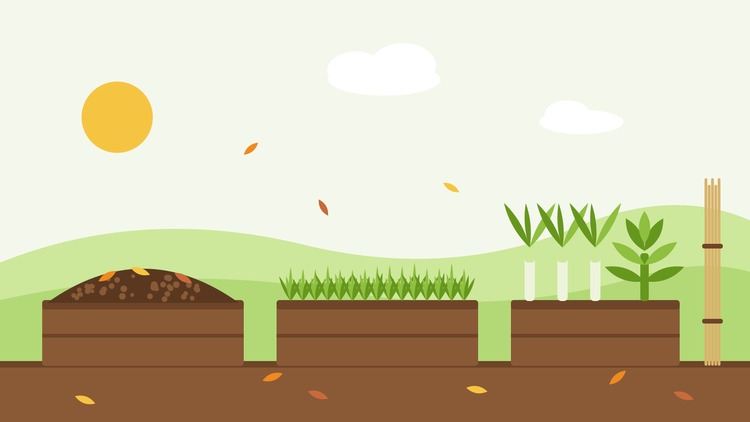 How to put a vegetable garden to bed for winter — flat illustration of three raised beds under compost mulch, green manure and leeks with kale, beside a bundle of stored canes and autumn leaves