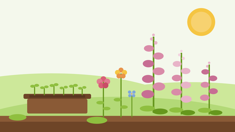 Vingerhoedskruid en tweejarige planten zaaien — vlakke illustratie van een zaailade met groene kiemplantjes naast roze vingerhoedskruidspitsen, muurbloemen en sweet william in een zomertuin, van SeedsChoice