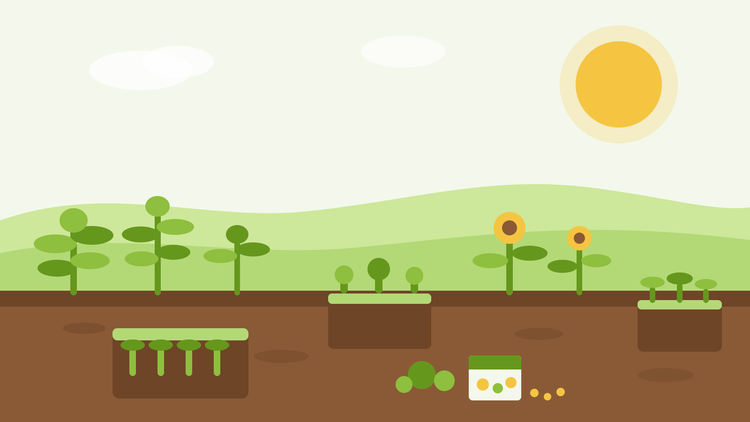 Wat je in augustus kunt zaaien — vlakke illustratie van zaaitrays met slasaailingen, zonnebloemen en een zaadzakje in een zomertuin