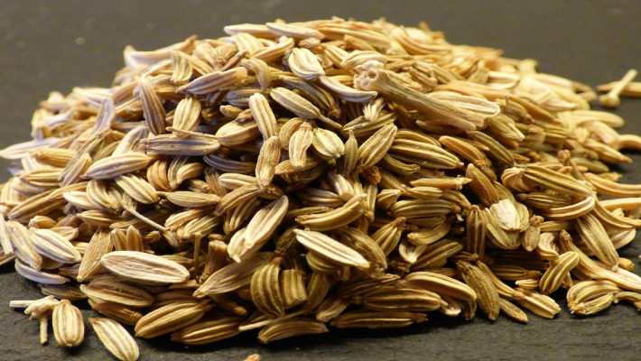 Kruidenzaden – SeedsChoice