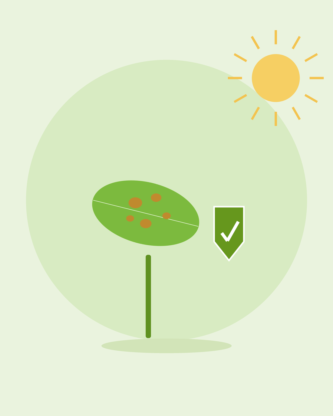 Platte illustratie van een gevlekt blad naast een groen beschermingsschild — veelvoorkomende plantenziekten voorkomen, van SeedsChoice