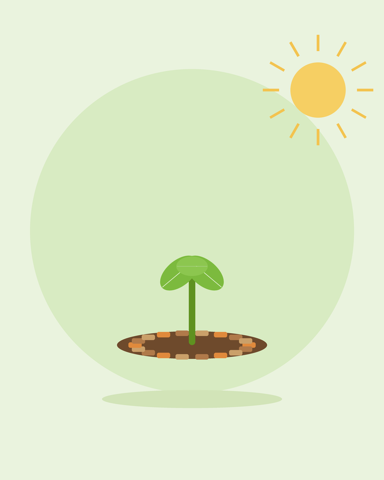 Platte illustratie van een zaailing omringd met mulchsnippers — mulchen en onkruidbestrijding, van SeedsChoice