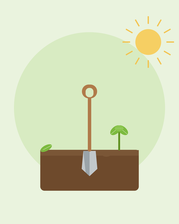 Platte illustratie van een spade in bewerkte grond met een zaailing — jouw bodem voorbereiden, van SeedsChoice