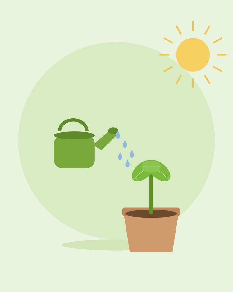Platte illustratie van een groene gieter die een ingepotte zaailing water geeft — jouw tuin water geven, van SeedsChoice