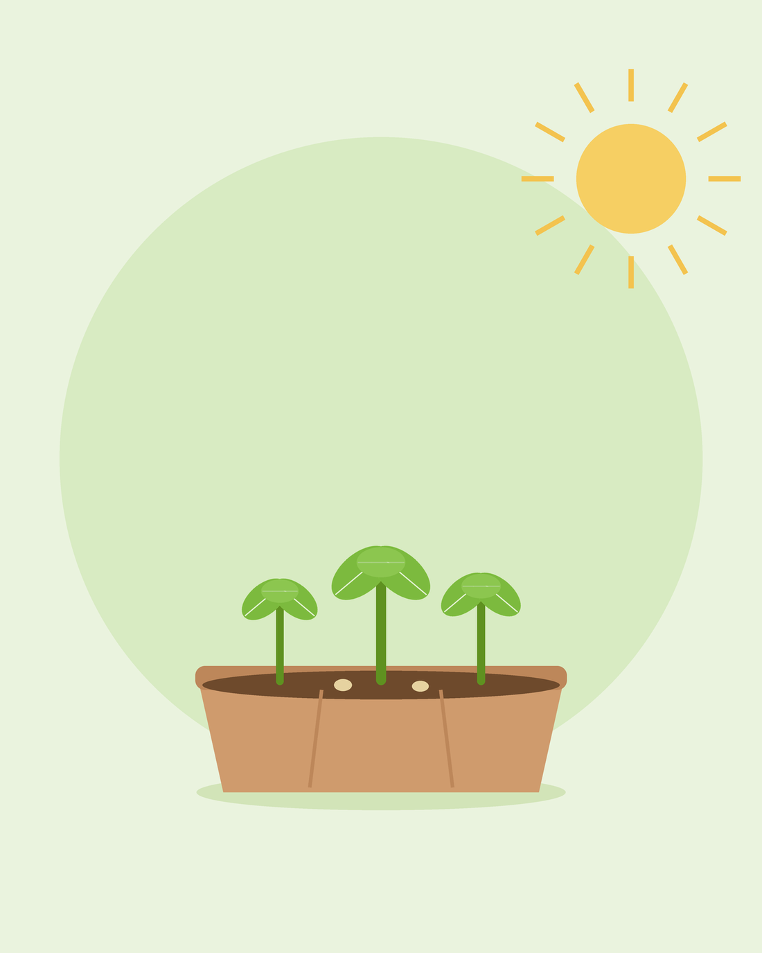 Platte illustratie van een zaailade met drie jonge zaailingen in de zon — kweken vanuit zaad voor beginners, van SeedsChoice