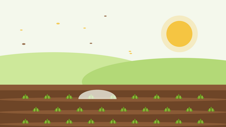 Herfst zaaien van winterharde eenjarigen — platte illustratie van zaairillen met jonge groene rozetten onder een vliesdoek en een lage herfstzon