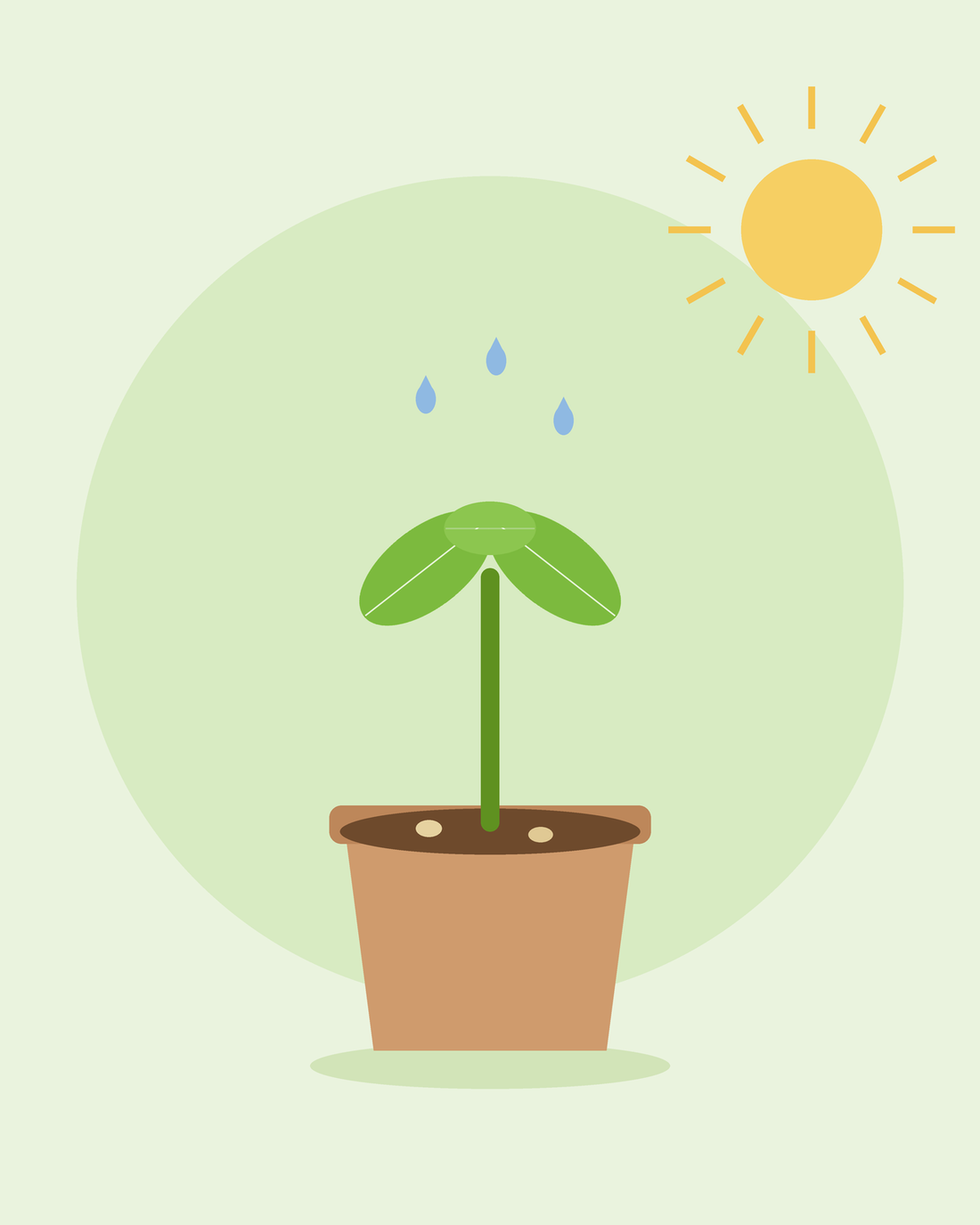 Platte illustratie van een jonge zaailing die ontkiemt in een bloempot onder de zon met waterdruppels — zaden laten kiemen van SeedsChoice