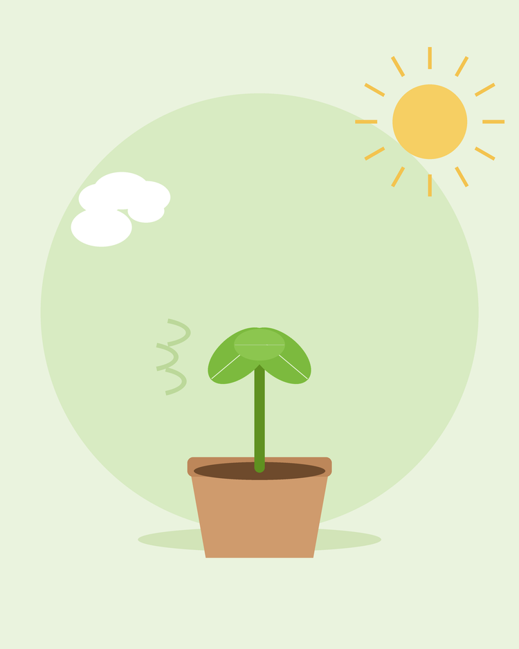 Platte illustratie van een ingepotte zaailing buiten in de zon en wind — zaailingen afharden, van SeedsChoice