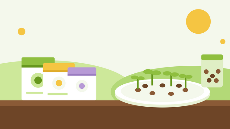 How long do seeds last — flat illustration of seed packets, a jar of seeds and a germination test dish with sprouting seeds