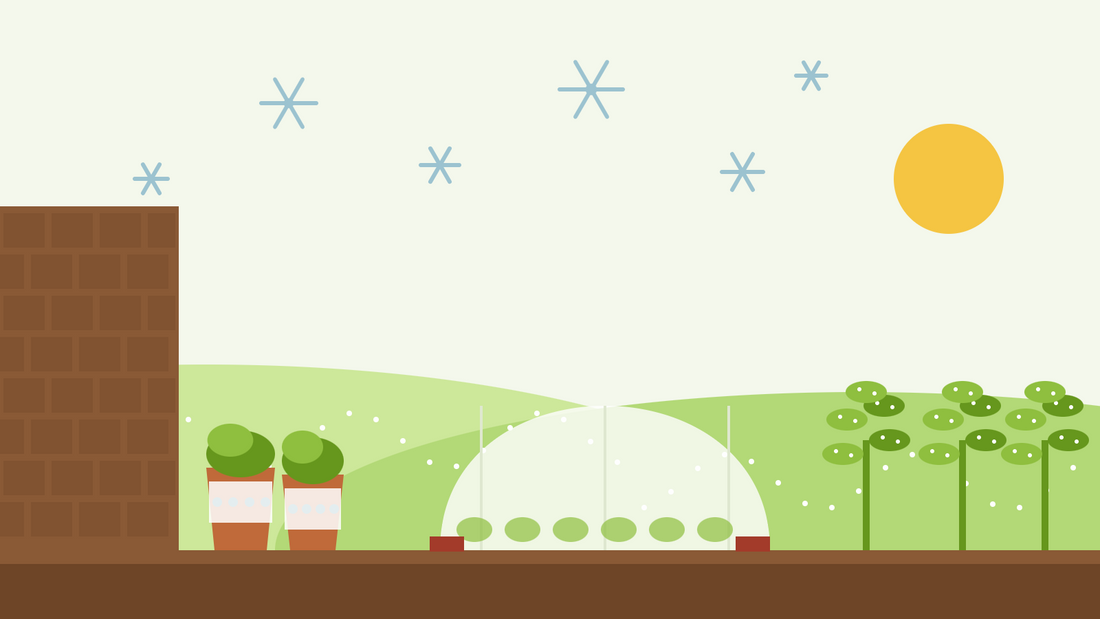 Planten beschermen tegen vorst — vlakke illustratie van een tunnel van vliesdoek over een groentebed, ingepakte potten tegen een huismuur en berijpte boerenkool onder ijskristallen