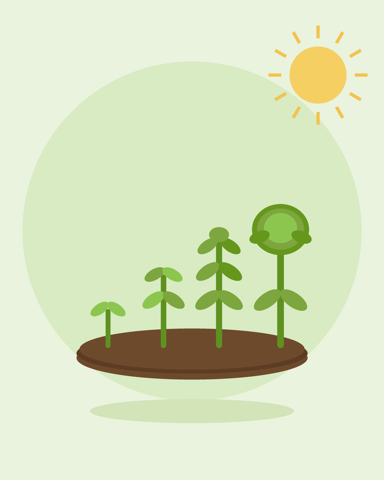 Platte illustratie van een rij planten die groeien van spruit tot oogstrijp — gespreide zaai, van SeedsChoice