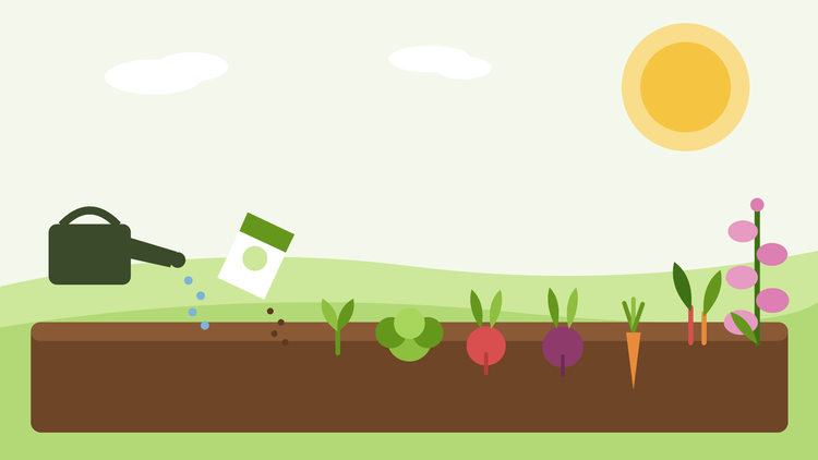 Wat je in juli kunt zaaien — vlakke illustratie van een zomertuin met salades, herfstwortelgroenten en tweejarige vingerhoedskruiden, van SeedsChoice