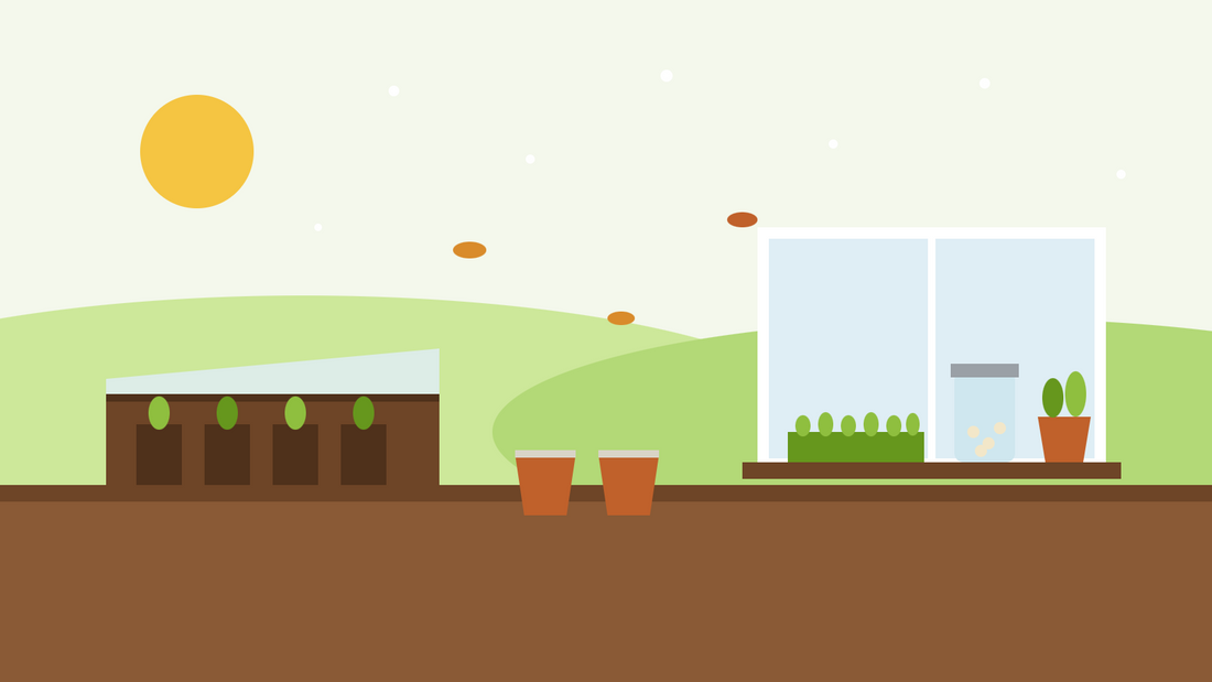 Wat zaai je in november — vlakke illustratie van zaailingen in een koude bak, potten met vaste planten buiten en een vensterbank met microgroenten, een kiempot en kruiden