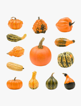 collection_image