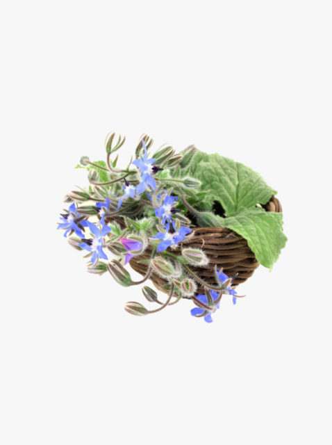 collection_image