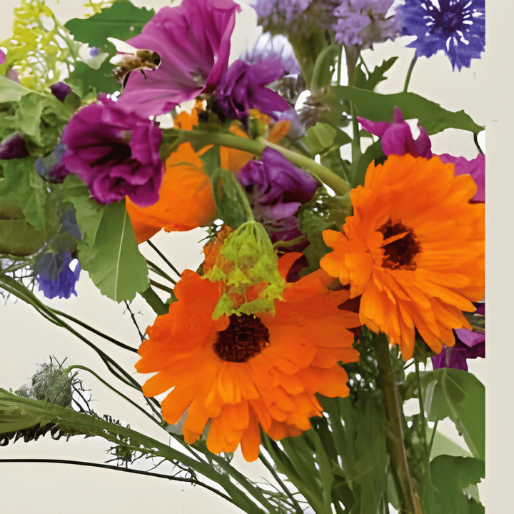 Voor Bijen Mix zaden (Sinapis alba) – biologische eenjarige bloem