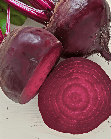 Rode biet Egyptian Turnip Rooted zaden (Beta vulgaris) – biologisch eenjarig groentezaad