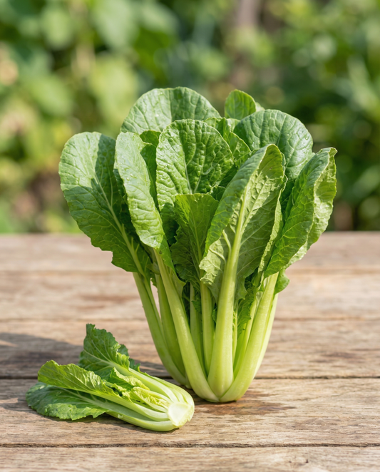 Meiraapbladeren Namenia (Brassica rapa) – biologische eenjarige groentezaden van SeedsChoice