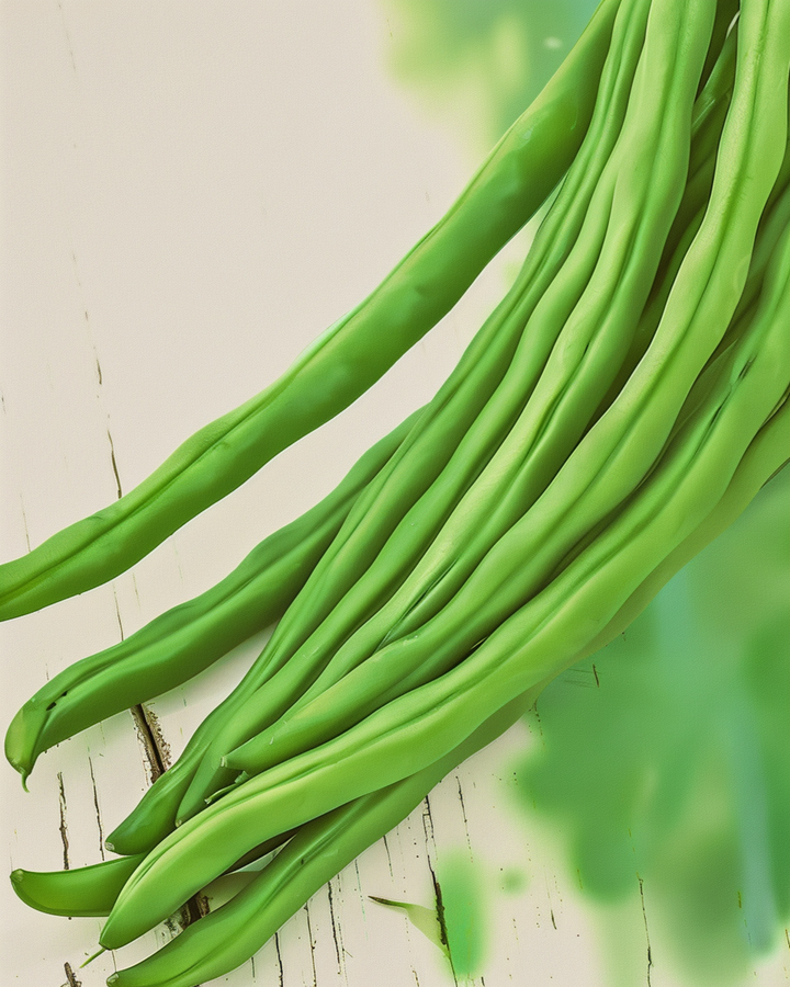 Stamslaboon Compass zaden (Phaseolus vulgaris) – biologisch eenjarige groente
