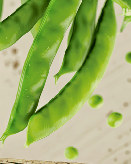Peulzaden Norli biologisch Pisum Sativum eenjarig