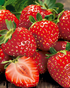 Aardbei Grandian F1 zaden Fragaria Ananassa eenjarig