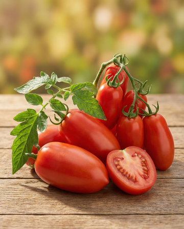 Tomaat Roma Vf (Solanum lycopersicum) – eenjarige groentezaden van SeedsChoice