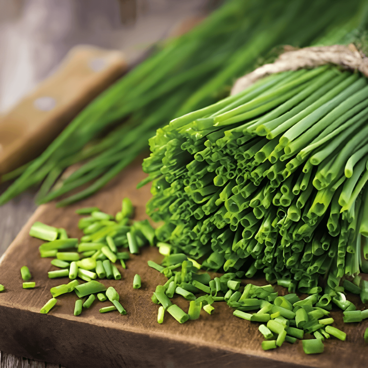 Chives Prager Medium Fine zaden (Allium schoenoprasum) – meerjarig kruid