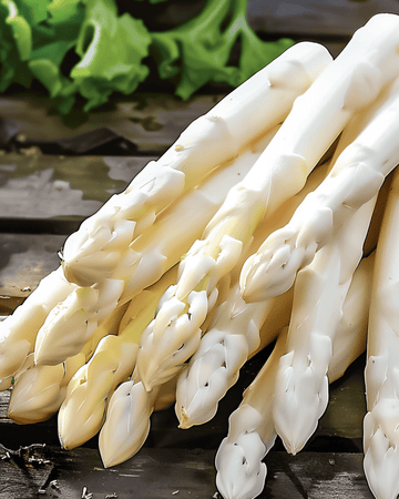 Early Argenteuil zaden (Asparagus officinalis) – meerjarig