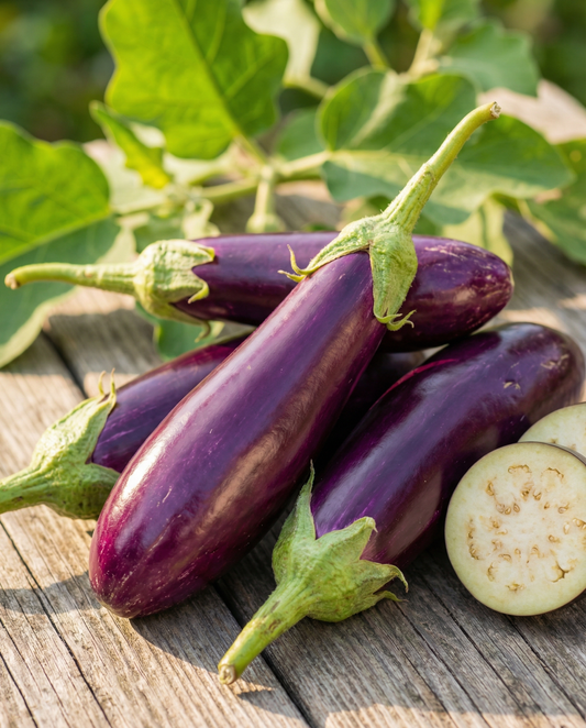Aubergine Violetta Lunga 2 (Solanum melongena) – eenjarige groentezaden van SeedsChoice
