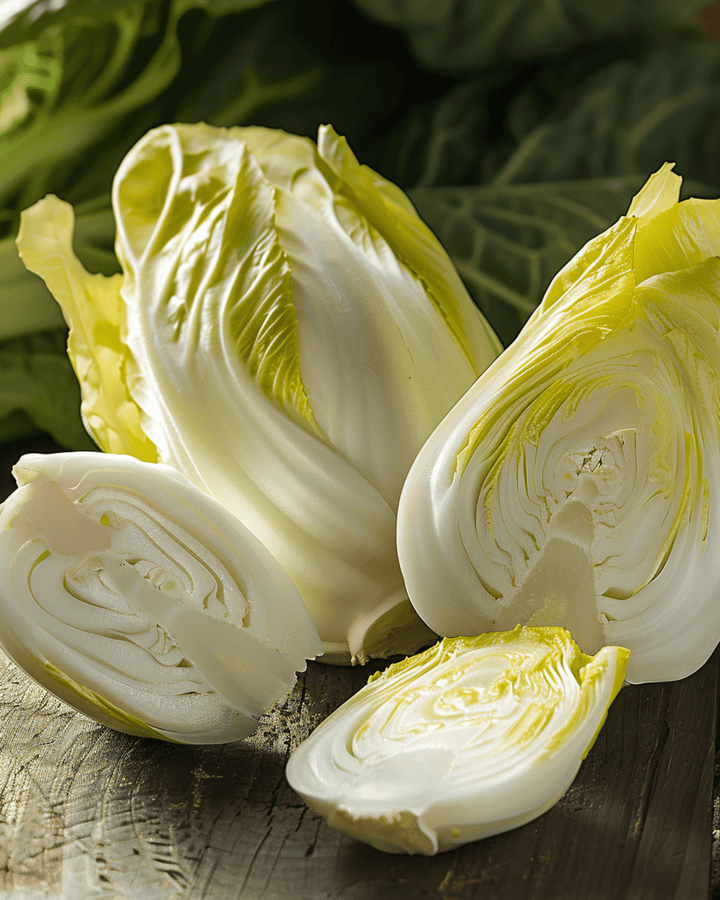 Witlof Zoom F1 zaden (Cichorium intybus) – tweejarige groente