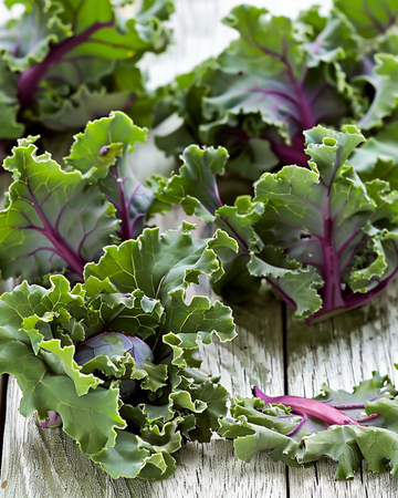 Spruitkool Garden Mix F1 zaden (Brassica oleracea) – eenjarige bloem