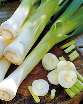 Preizaden Winterreuzen 3 Allium Porrum eenjarig ras