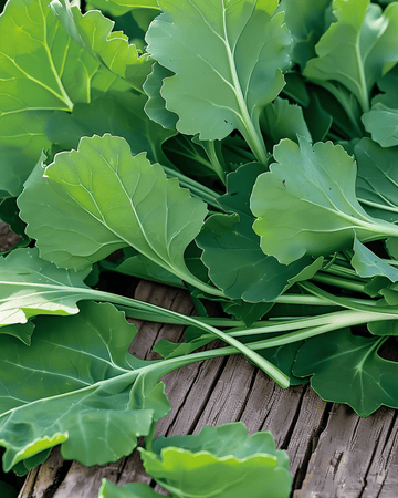 Raapblad zaden (Brassica rapa) – eenjarige groente