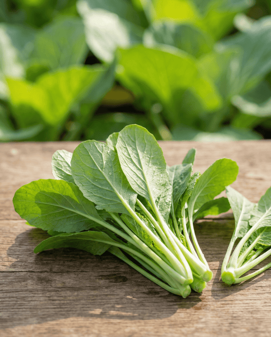 Bladgroenten Namenia Leaf (Brassica rapa) – eenjarige groentezaden van SeedsChoice