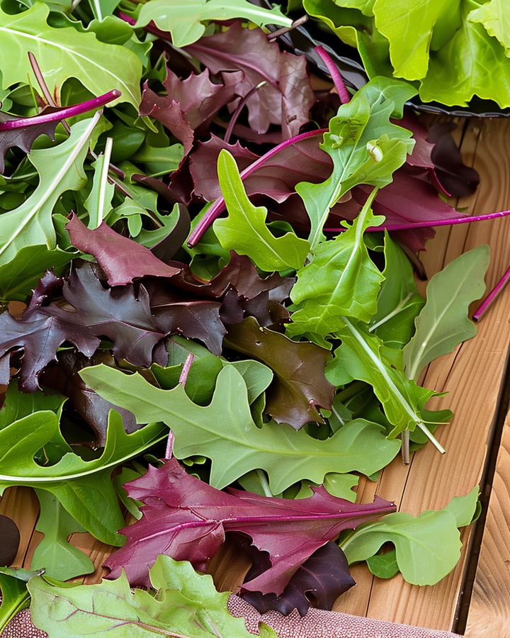Babyleaf Lettuce Mixture zaden (Lactuca sativa) – eenjarige groente