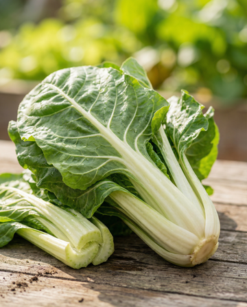 Snijbiet Lucullus (Beta vulgaris) – eenjarige groentezaden van SeedsChoice