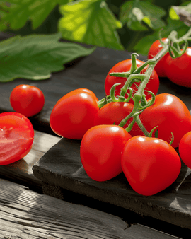 Kerstomaatzaden Heartbreaker Vita F1 Solanum Lycopersicum eenjarig compact