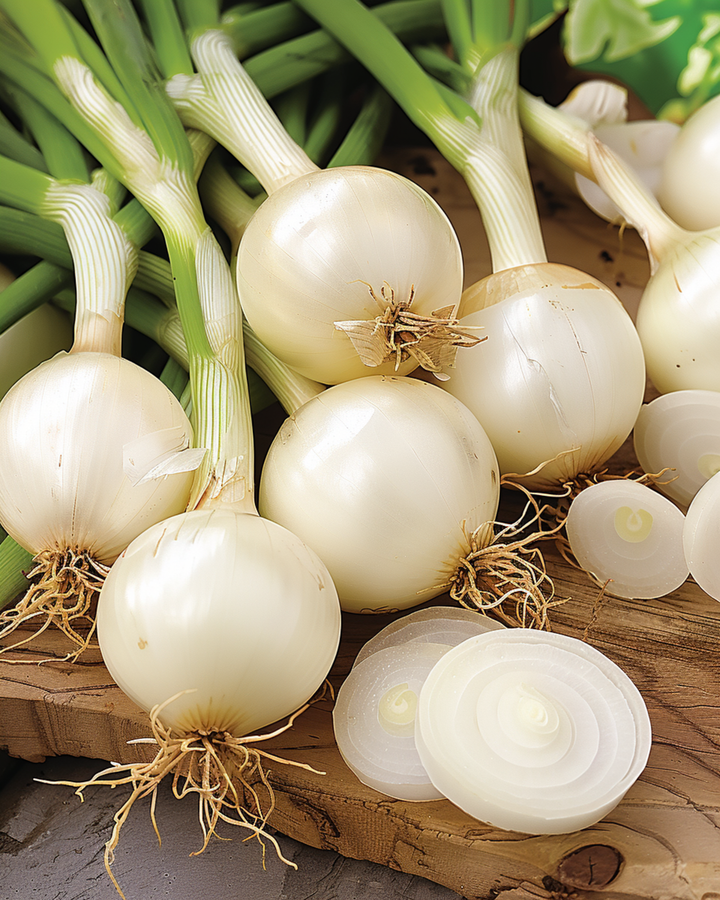 Inmaakui zaden (Allium cepa) – eenjarig groente