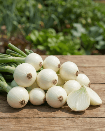 Inmaakui (Allium cepa) – eenjarige groentezaden van SeedsChoice