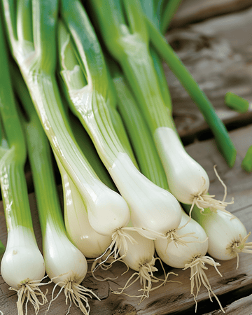 Bunching Onion White Lisbon zaden (Allium cepa) – eenjarige groentesoort