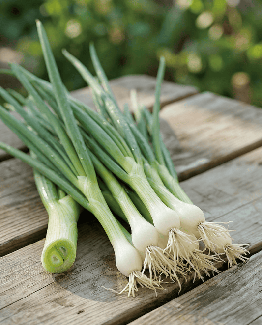 Stengelui White Lisbon (Allium cepa) – eenjarige groentezaden van SeedsChoice