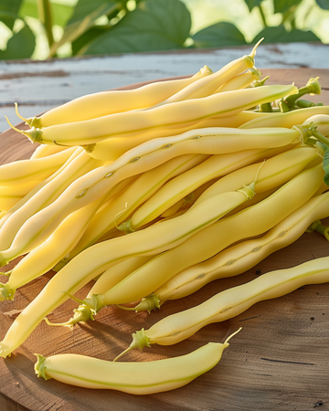 Stamslabonen Gondola zaden (Phaseolus vulgaris) – eenjarige groente