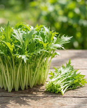 Mizuna Microgreens (Brassica rapa) – eenjarige microgreens zaden van SeedsChoice