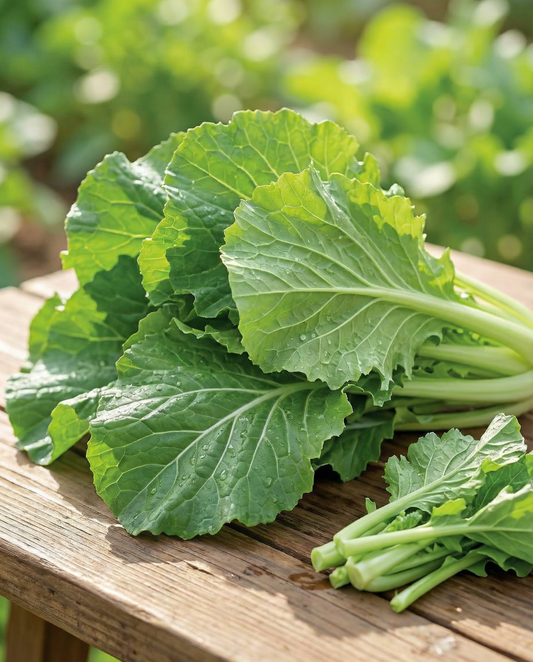 Amsoi (Brassica juncea) – eenjarige groentezaden van SeedsChoice