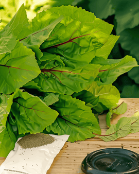 Chinese spinaziezaden Amaranthus Dubius eenjarig bayam