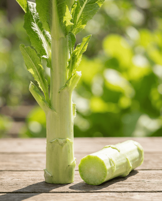 Spergietsla (Lactuca sativa) – eenjarige groentezaden van SeedsChoice